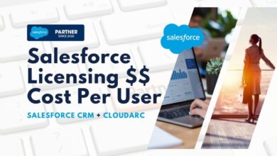 Salesforce CRM Cost